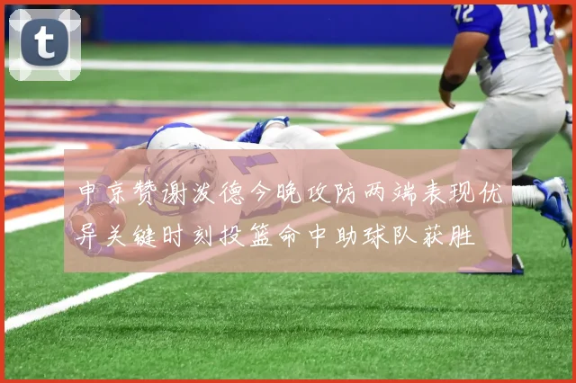 申京赞谢泼德今晚攻防两端表现优异关键时刻投篮命中助球队获胜
