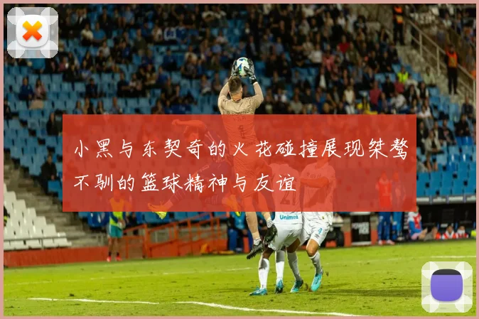 小黑与东契奇的火花碰撞展现桀骜不驯的篮球精神与友谊