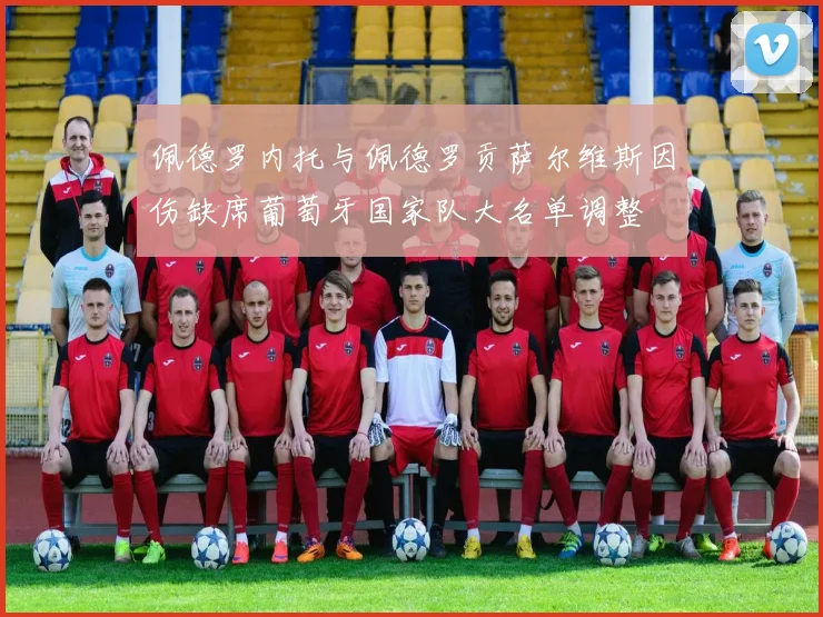佩德罗内托与佩德罗贡萨尔维斯因伤缺席葡萄牙国家队大名单调整