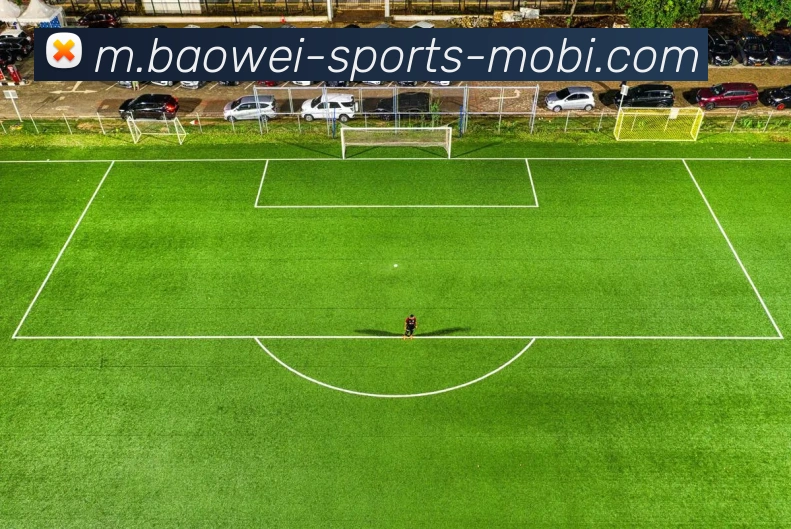 宝威体育平台生态图